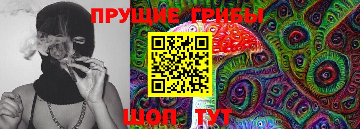 Псилоцибиновые грибы Psilocybine cubensis Егорьевск